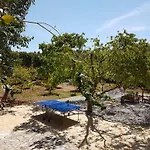 Magnolia فيسكاردو