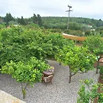 Magnolia فيسكاردو