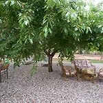 Magnolia