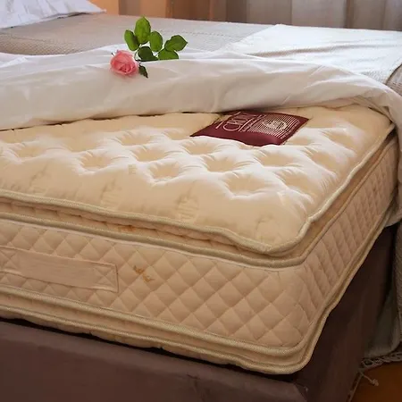 Magnolia شقة فيسكاردو