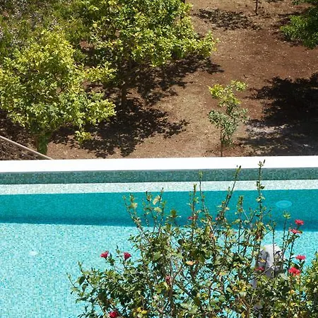 Magnolia فيسكاردو