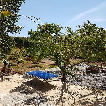 Magnolia فيسكاردو