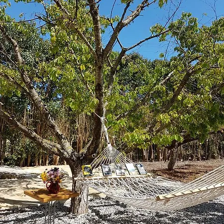 Magnolia Appartement