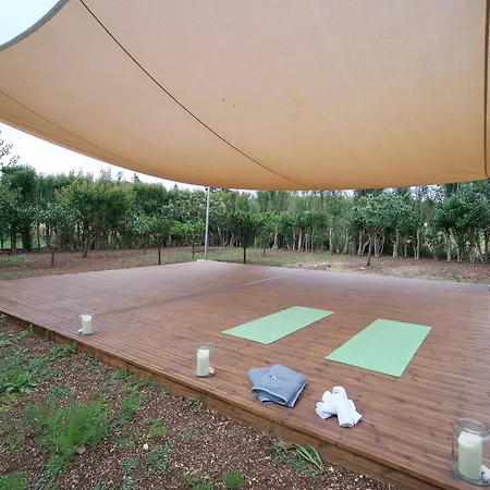 Magnolia * فيسكاردو