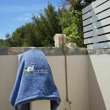 Magnolia فيسكاردو