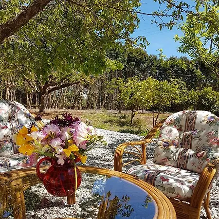 Appartement Magnolia