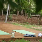 公寓 玛涅奥里亚公寓 *